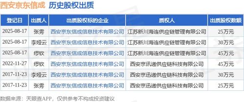 西安京東信成股權(quán)出質(zhì)，涉及金額45萬元，聚焦技術(shù)咨詢服務(wù)